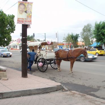 Нуево Касас Грандес