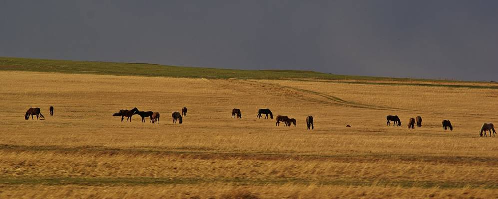 
            Фотография Новороссийского