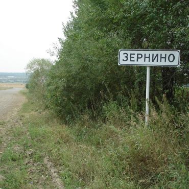 Зернино