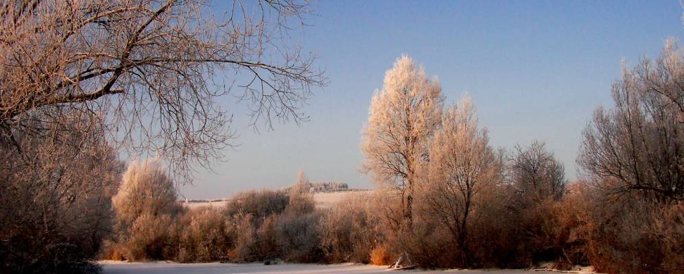 
            Фотография Улли