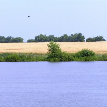 Рождественское