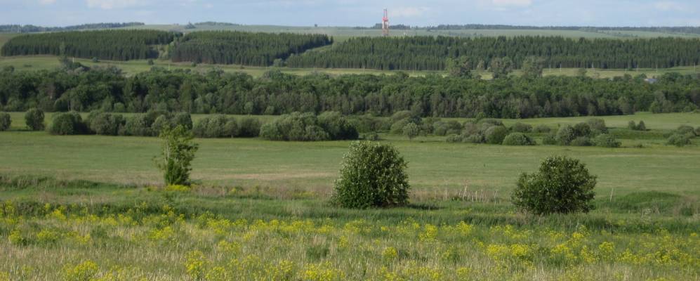 
            Фотография Пономаревки