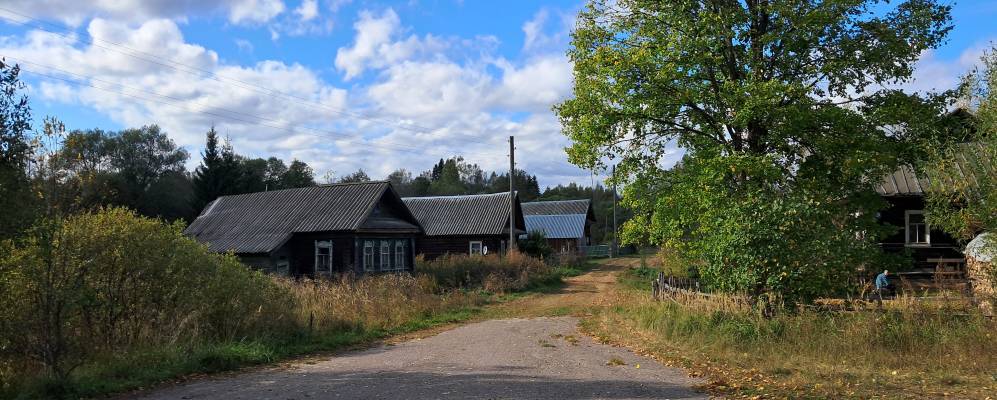 
            Фотография Курганы