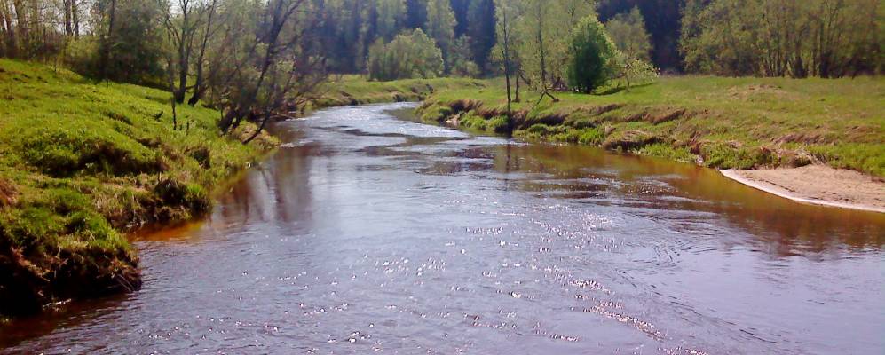 Лежнево река Ухтохма