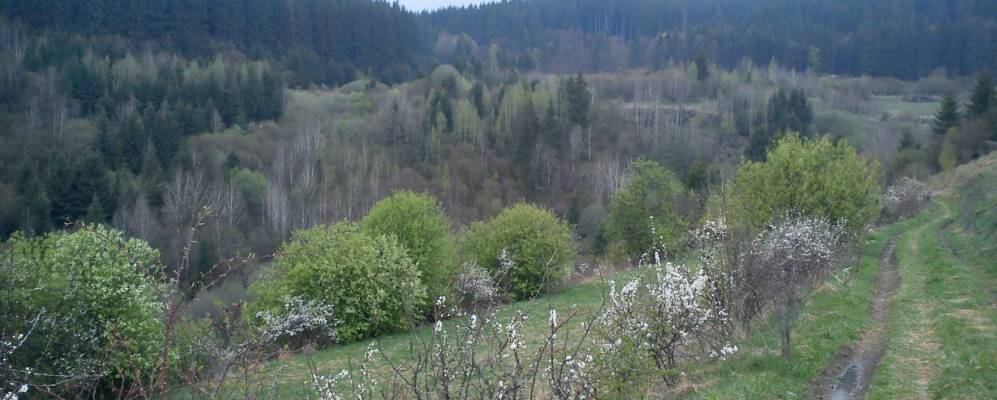 
            Фотография Čierny Balog