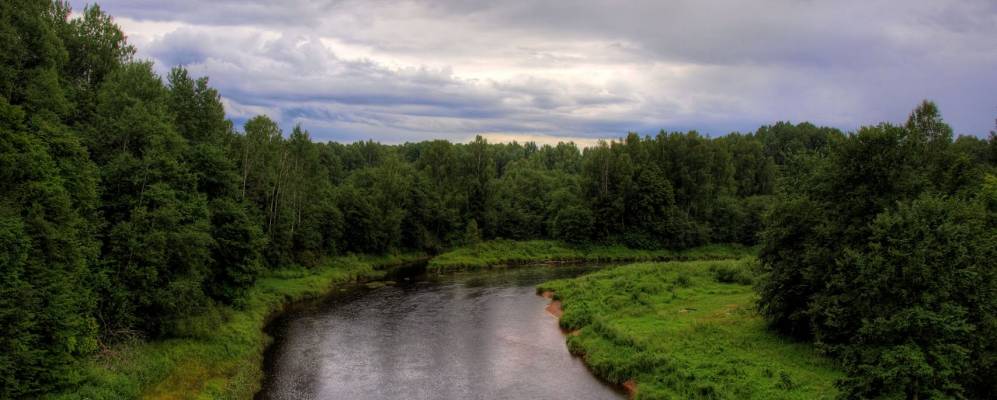 
            Фотография Пасеки