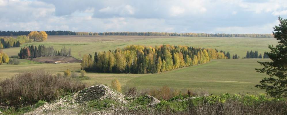 
            Фотография Сиковщины