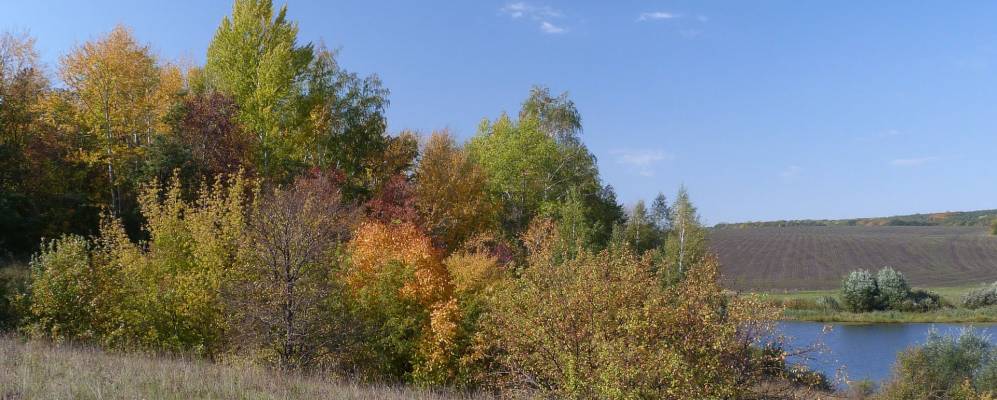 
            Фотография Владимировки