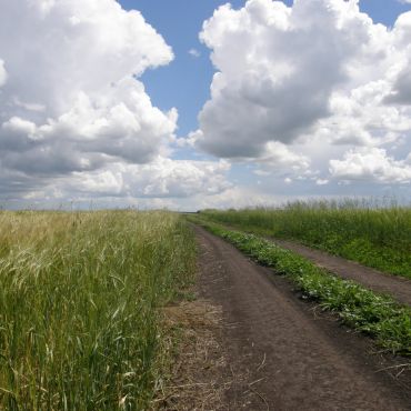 Вторая Пятилетка