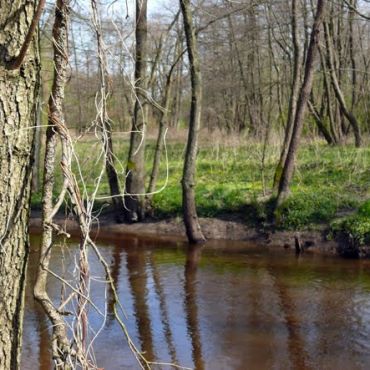 Кремнево