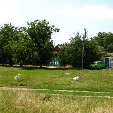 Селах подо калиновка и абрикосовка. Село подо-Калиновка Херсонская область. Село подо Калиновка.