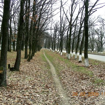 Терно-Лозоватка