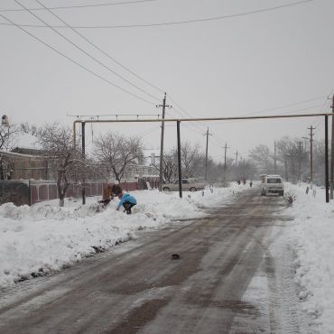 Кубанская Степь