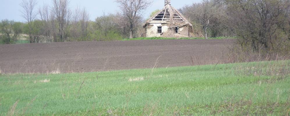 
            Фотография Брусово