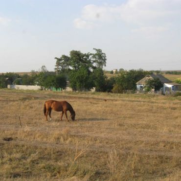 Орлова Балка