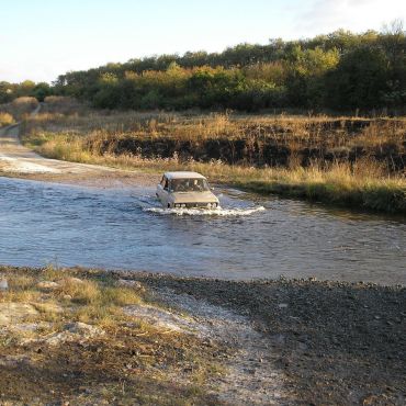 Лесное