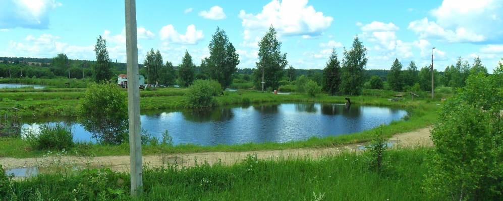 Фотография Петряихи