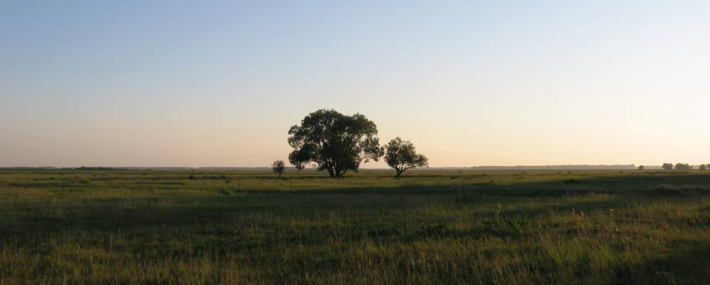 
            Фотография Кайгородского