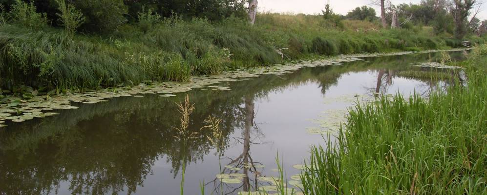 
            Фотография Безбородовского