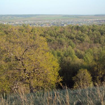 Стерлибашево