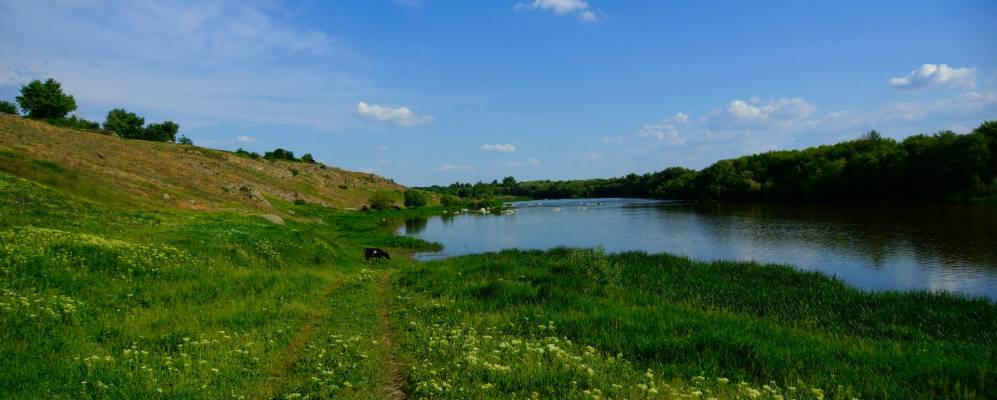 Николаевская область села. Украина Николаевская область Ивановка. Ивановка (Николаевский район). Село Волошино Кривоозерского района Николаевской области. Ивановка Вознесенский район Украина Николаевская область село.