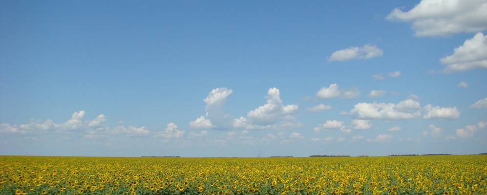 
            Фотография Новоселовки