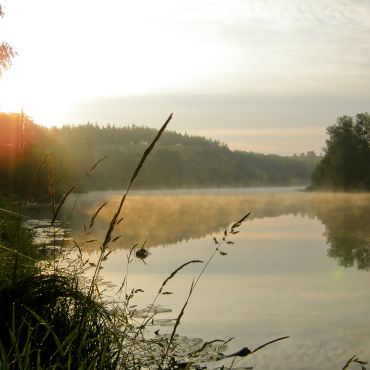 Шелудьки