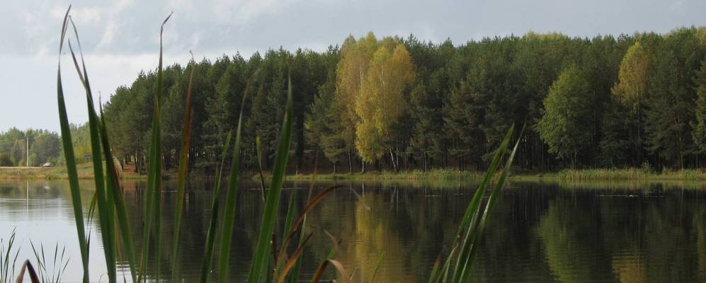 
            Фотография Шабуневки