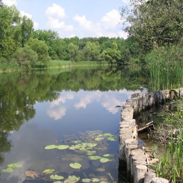 Кордон Вьюнский