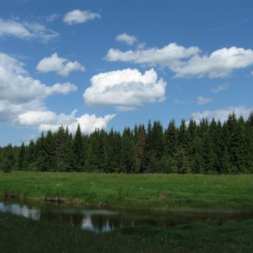 Змеево