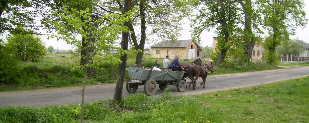 
            Фотография Белявцев