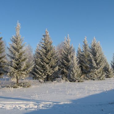 Старая Каменка