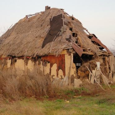 Васьки