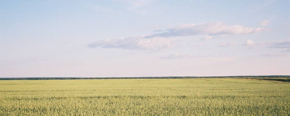 
            Фотография Лучинкино