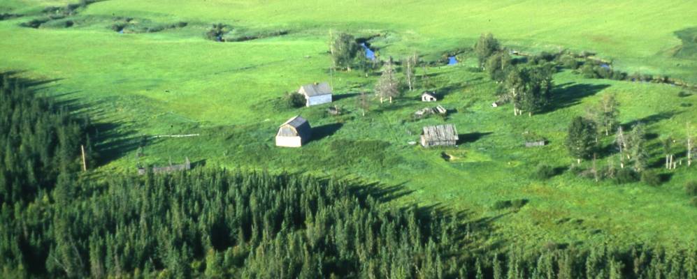 
            Фотография Drayton Valley