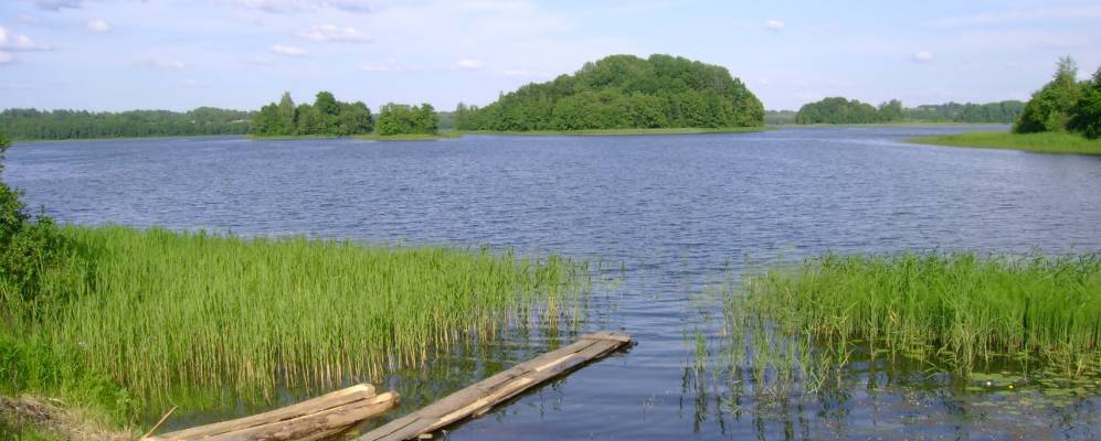 
            Фотография Рогачево