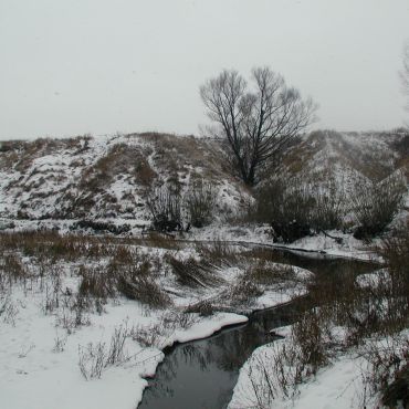 Русский Шелдаис