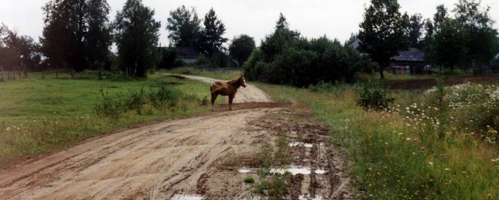 
            Фотография Почепа