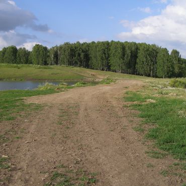 Петроградский