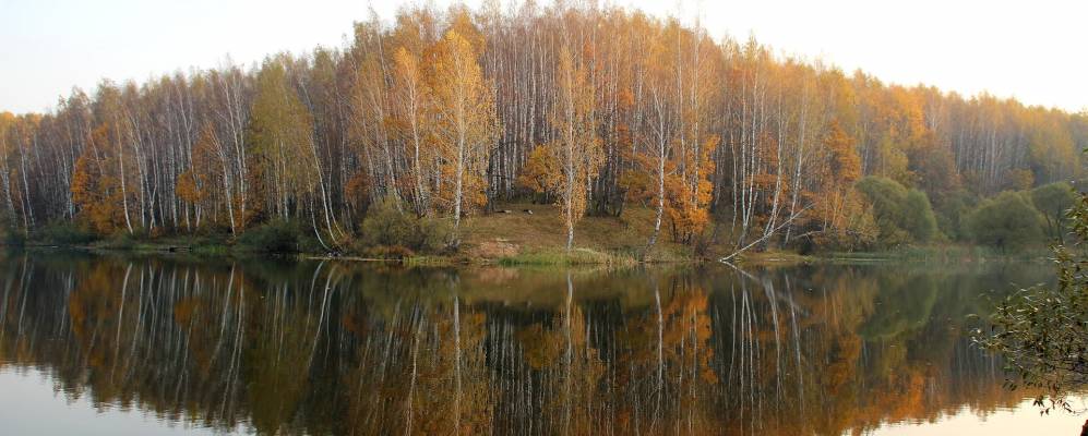 
            Фотография Новосёлок