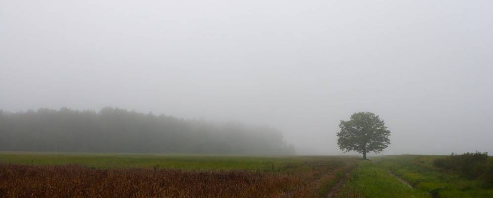 
            Фотография деревни Роги