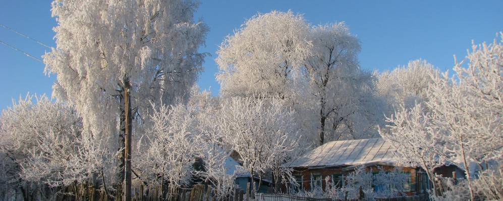 
            Фотография Петрищево