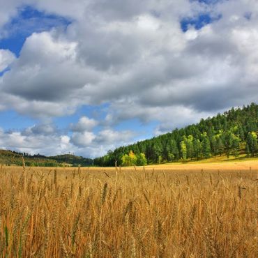 Карымск