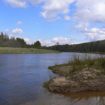 Никулиши