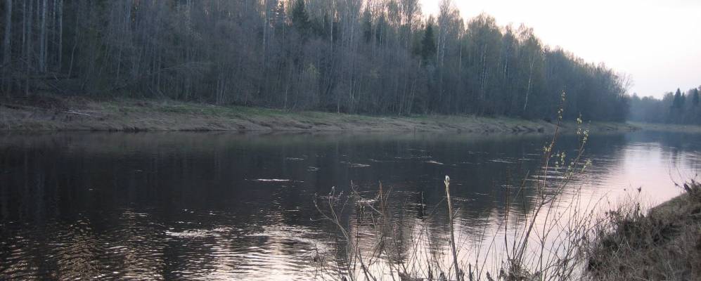 
            Фотография Городища