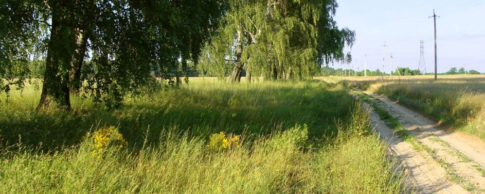 
            Фотография Александровки