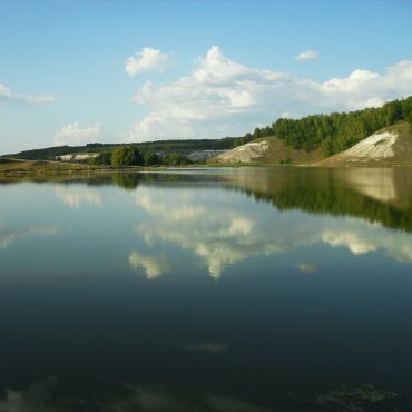 Карлинское