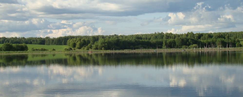 
            Фотография Кузьминского