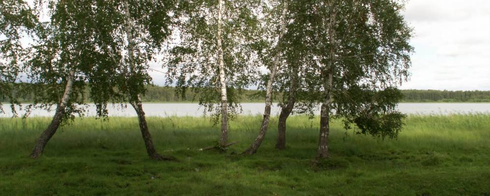 
            Фотография Воскресенки