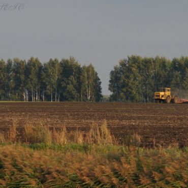 Польной Воронеж Первый 